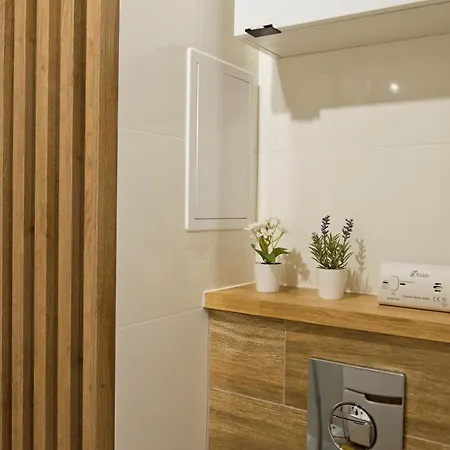 Apartment Apartament Jastrzebie Jastrzebie Zdroj