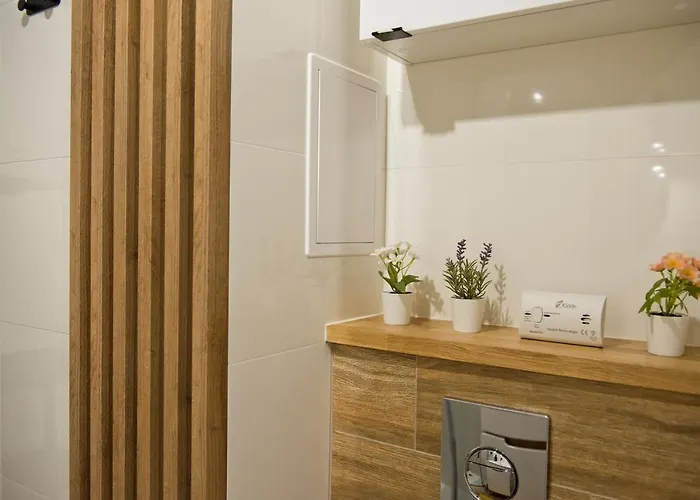 דירה Apartament Jastrzebie Jastrzębie Zdrój